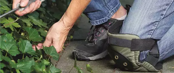 SOMMER IM STAUDENGARTEN!