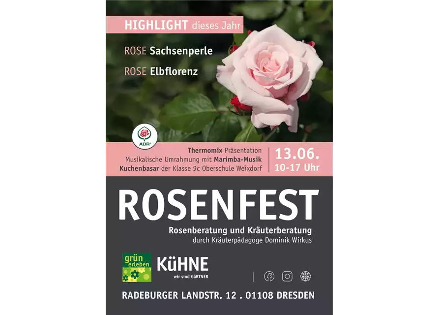 13.06. Rosenfest