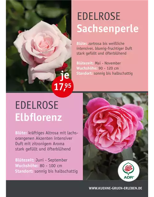 13.06. Rosenfest