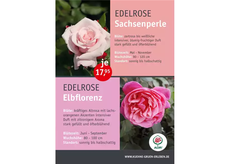 13.06. Rosenfest