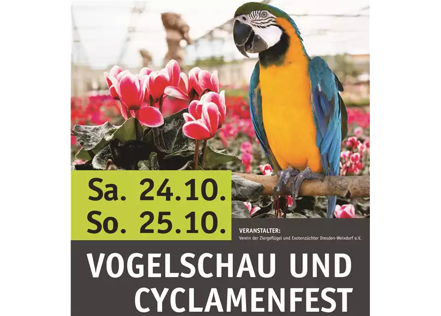24.10. - 25.10. Cyclamenfest und Vogelschau