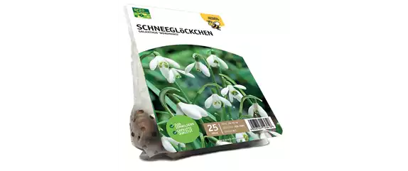 FRüHLING BEGINNT IM HERBST!