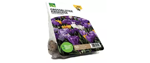FRüHLING BEGINNT IM HERBST!