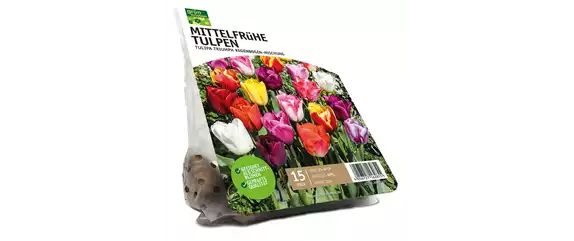 FRüHLING BEGINNT IM HERBST!