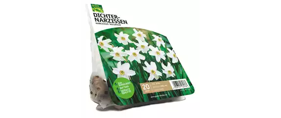 FRüHLING BEGINNT IM HERBST!