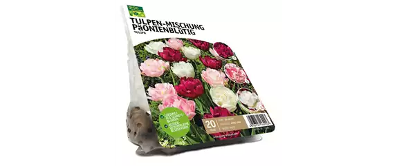 FRüHLING BEGINNT IM HERBST!