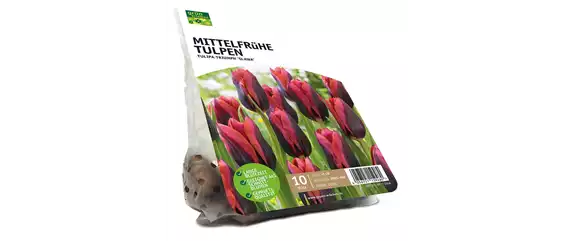 FRüHLING BEGINNT IM HERBST!