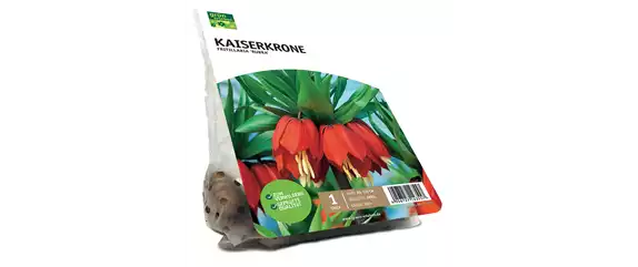 FRüHLING BEGINNT IM HERBST!
