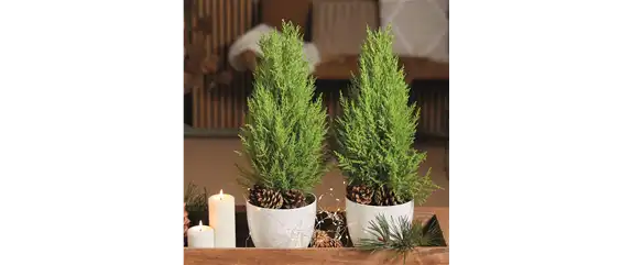 WEIHNACHTLICHE WOHNMAGIE!